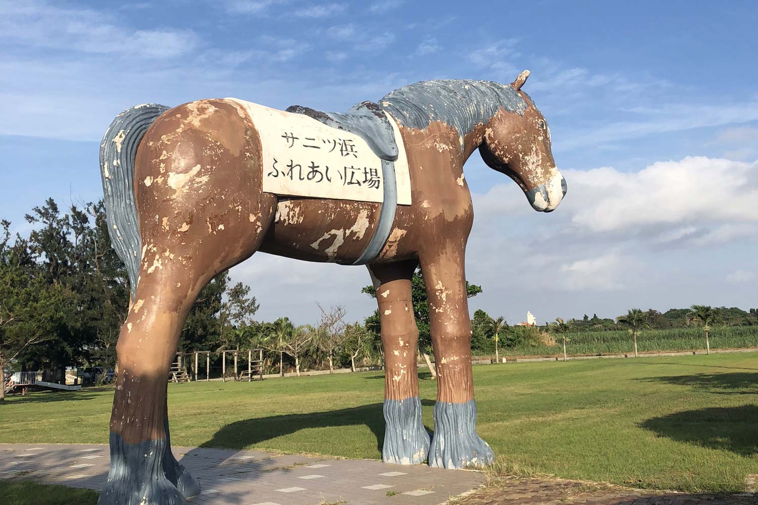サニツ浜の馬