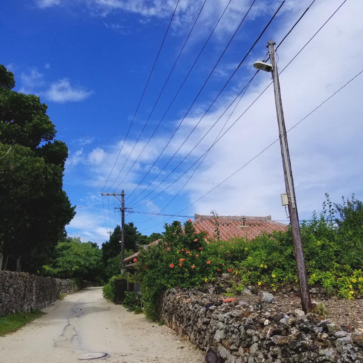 竹富島集落の道